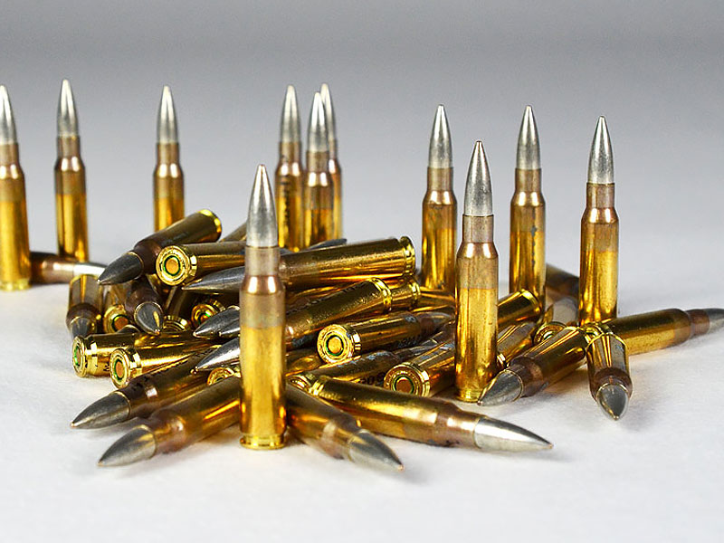 Die Waffenbrüder | GGG .308 Winchester, GPX Vollmantel 147 grs 1 ...